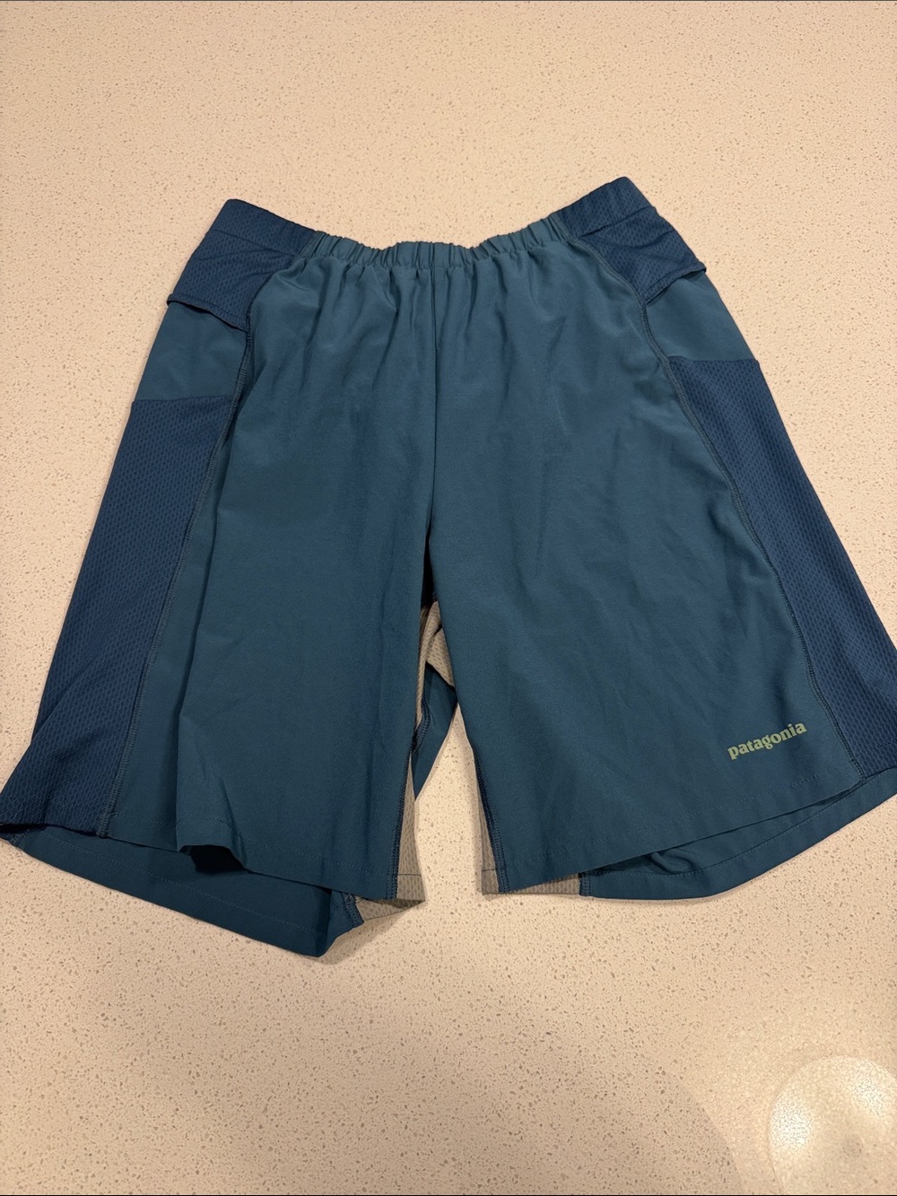 Patagonia Men's Deep Teal Performance Shorts